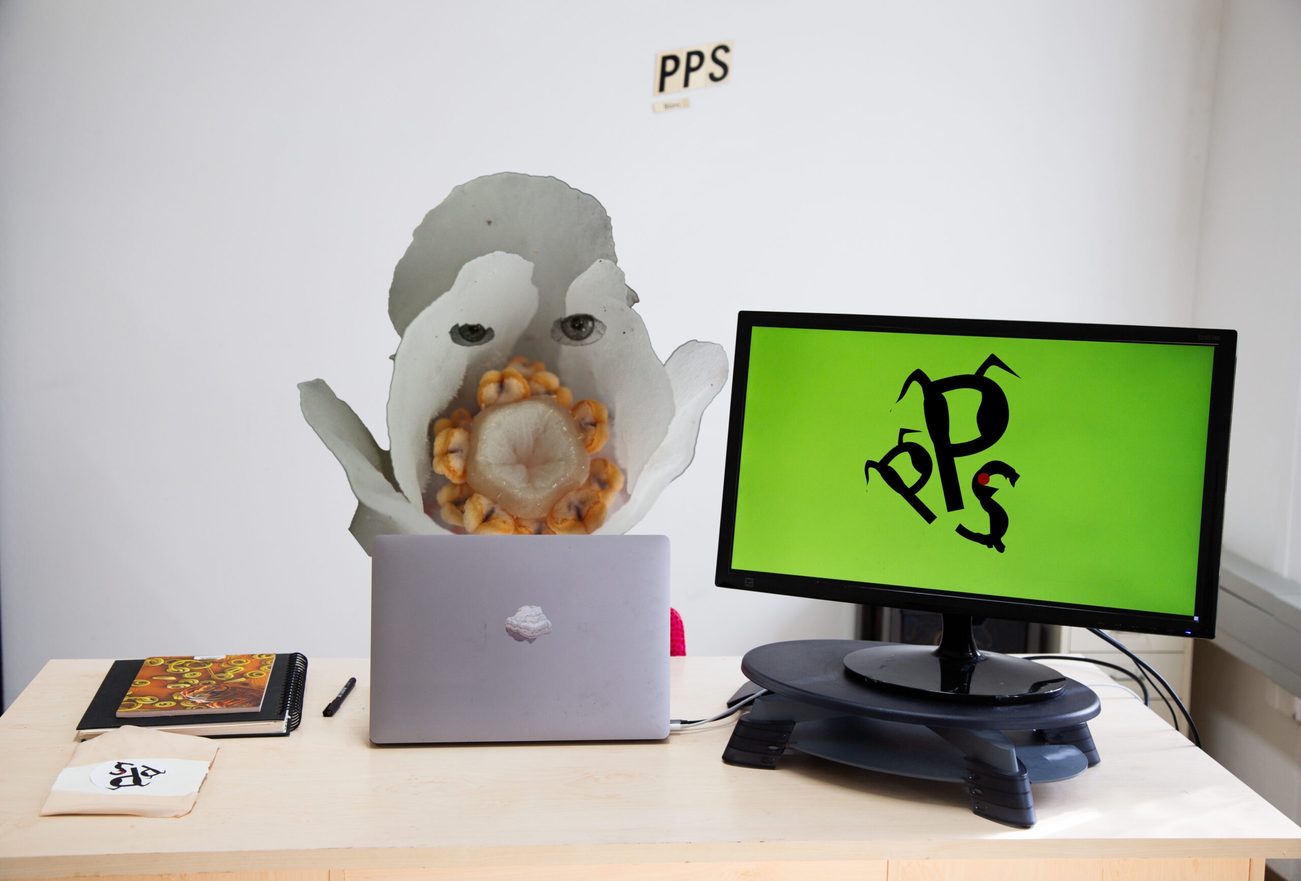 Lena Violetta Leitner: PPS (Fotografie für die PPS Website), 2026 eigene Aufnahme mit adaptiertem Bildmaterial von:  © Achim Lammerts / Wikimedia Commons / “2026-03-21 Z5-2200 Achim-Lammerts Fomes-fomentarius” / CC BY-SA 4.0 (https://creativecommons.org/licenses/by-sa/4.0/) © Walter Siegmund / Wikimedia Commons / “Monotropa uniflora 3270.JPG” / CC BY-SA 3.0 (https://creativecommons.org/licenses/by-sa/3.0/)